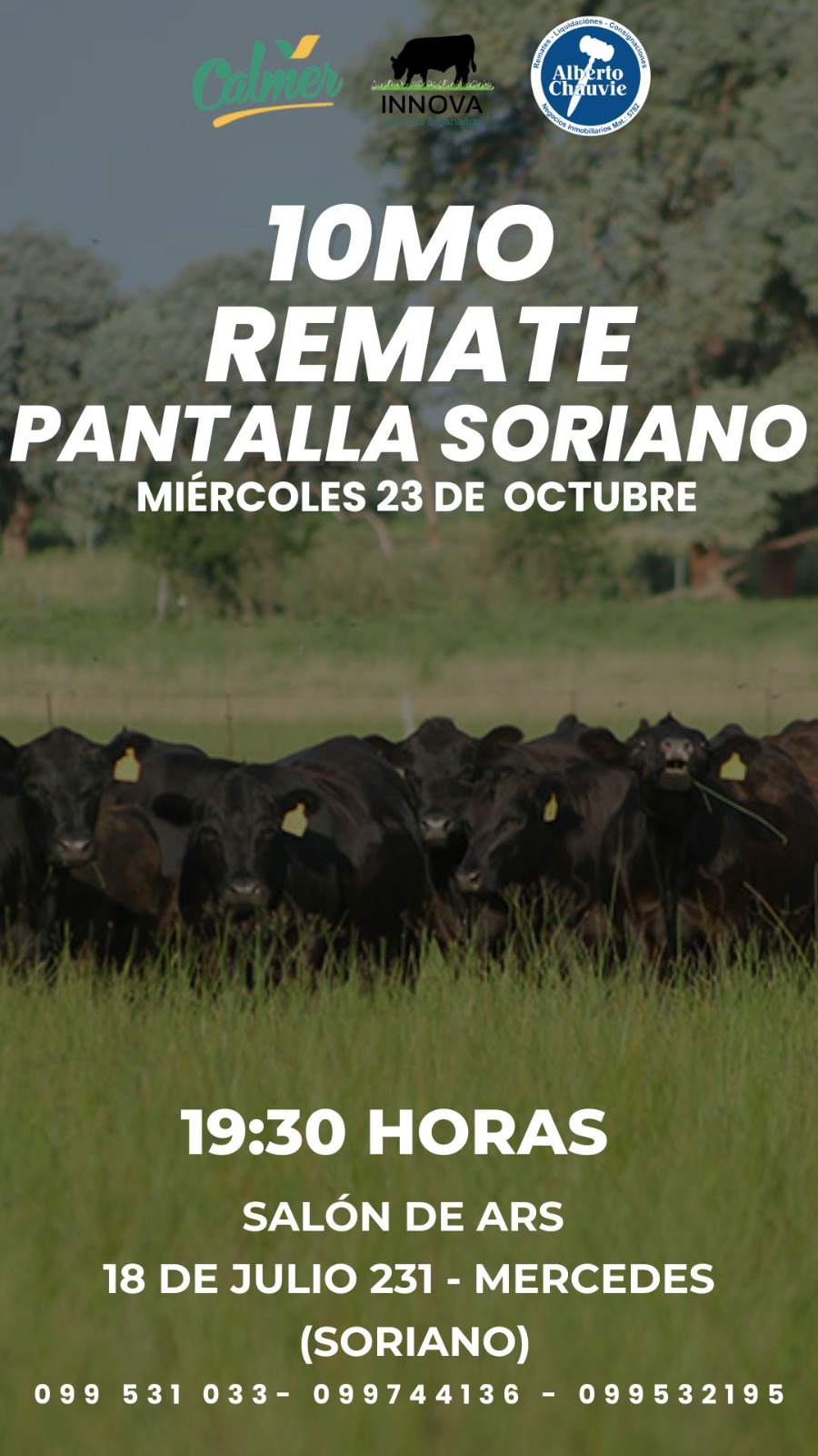 10mo. Remate - Pantalla Soriano